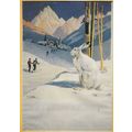 Giant German Rabbit Watches Skiing Skiers Germa...