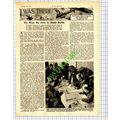 Berlin Air Raids RAF World War Two - 1940 Cutting