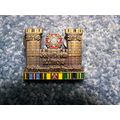 Veterans Still Serving Lapel Pin - John Davin -...