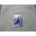 Panini Paris 2024 Olympics - 33 C.Devillard Fra...