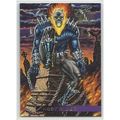 MARVEL ANNUAL 1995 FLAIR card # 123 GHOST RIDER