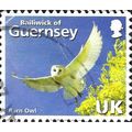 GUERNSEY, BIRD, Common Barn Owl, Tyto alba, blue 2007, UK, #2