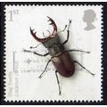 GB 2008 Action For Species - Insects - Stag Bee...
