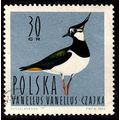 Poland 1964 Birds 30G Used Stamp Waterfowl