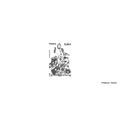 France 6139 GR: Gravure: 70th Anniversary of Vi...
