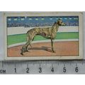 1934 Gallaher's Park Drive Champions No. 42 Fut...