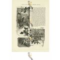 Fruit Culture In North Notts (1), Victorian Lif...