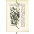 Thamin Stag, Animal Book Illustration (Print), ...