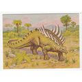 Polacanthus Dinosaur Postcard 342