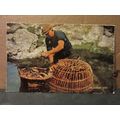 THE LOBSTER CATCH SEA FISHING unused postcard b...