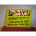 DEAD ON THE JOB, American humour, unused USA po...