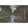 Branksome Chine Bournemoth Dorset Postcard (QDOR474)