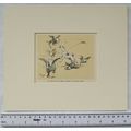 Coloured illustration: Dogs of Character - dog ...
