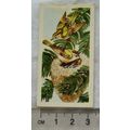 1970 Gowers & Burgons card No. 23 Goldcrest, Br...
