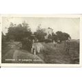 NICELY ANIMATED PRINTED POSTCARD St.CLEMENTS CH...