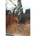 Decorative 3 1/2"x8 1/4" Etched Oval Glass HUMM...