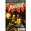 Daredevil (Vol 2) # 509 NM MODERN AGE COMICS