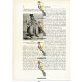 Caricature Of Rossini, Paris, Book Illustration...
