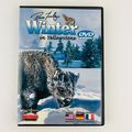 Russ Finley - Winter In Yellowstone DVD