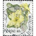 EIRE, FLOWER, Primrose, Primula vulgaris adhesi...
