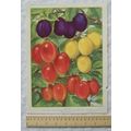 1939 Amateur Gardening illustration - New Plums