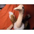 Thanksgiving is Covered!! TY TURKEY 16" Tall PL...