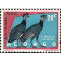 CONGO DR, BIRDS, Crested Guineafowl, red blue 1...