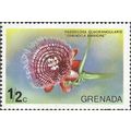 GRENADINES, FLOWER, Granadilla, Passiflora, gre...