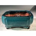 "Blue / Green Ceramic Bonsai Pot - Rectangle Pr...