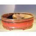 "Parisian Red Ceramic Bonsai Pot - Oval Land/Wa...
