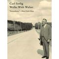 Walks with Walser