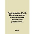 Afanasieva M. V. Movement of nutrients in plant...