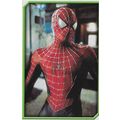 Merlin's Spider-Man (2002) Sticker Collection -...