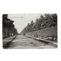 Crawley Ridges, Camberley, Surrey, Postcard.