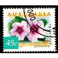 Australia 1999 Flowers 45c Used Stamp Ipomoea 14.25 Perf