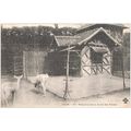 37 - TOURS - pensionnaires du jardin des plantes