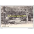 DOLGELLY, IN THE TORRENT WALK, WALES, 1908, Pos...