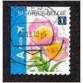 BEL 2009 (90c) (S/A) 'FLOWERS -TULIP' FINE USED...