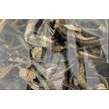 Loose Leaf Yerba Santa, 1/2 Ounce Bag, Turquois...