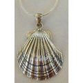 Shell pendant