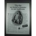 1999 Lands End Fashion Ad - We Found a Monster