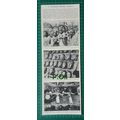 (X303) Japanese Ritual Dance Nagano Japan - 195...