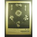1964 Carrington Jewellery Ad - The splendour of modern jewellery for the season