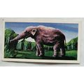 1962 Coopers Tea card Prehistoric Animals No. 1...