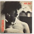 MR. BIG - SENORA (7" VINYL, 1978)