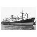 mc3415 - Blue Funnel Line Cargo Ship - Alcinous...