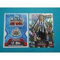 200. Fabricio Coloccini FOIL Newcastle Utd Matc...
