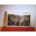 THE GORGE, DEVIL'S BRIDGE Aberystwyth unused postcard RP by Davies of Lampeter =