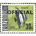 TANZANIA, FISH, Dusky Batfish, Official, green ...