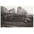 Railway Postcard LMS Patriot 5529 Stephenson Ma...